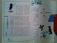 【雑誌】　　野鳥　1992年5月号　　特集　初夏の鳥を見よう
