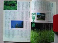 【雑誌】　　野鳥　1992年5月号　　特集　初夏の鳥を見よう