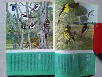 【雑誌】　　野鳥　1992年5月号　　特集　初夏の鳥を見よう