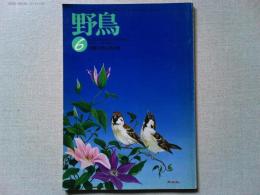 【雑誌】　　野鳥　1992年6月号　　特集　田んぼと鳥