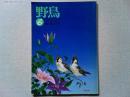 【雑誌】　　野鳥　1992年6月号　　特集　田んぼと鳥