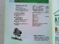 【雑誌】　　野鳥　1992年6月号　　特集　田んぼと鳥