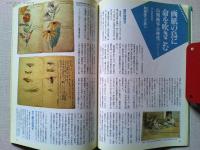 【雑誌】　　野鳥　1992年6月号　　特集　田んぼと鳥