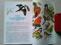 【雑誌】　　野鳥　1990年11月号　　特集　児童文学と鳥
日本における児童文学のなかの鳥たち/国松俊英
ソビエトの冬の森で/文V・ビアンキ　絵V・フェドートフ
