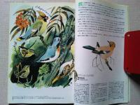 【雑誌】　　野鳥　1990年11月号　　特集　児童文学と鳥
日本における児童文学のなかの鳥たち/国松俊英
ソビエトの冬の森で/文V・ビアンキ　絵V・フェドートフ