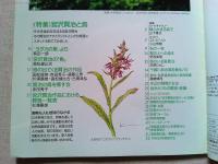 【雑誌】　　野鳥　1993年7月号　　特集　宮沢賢治と鳥
宮沢賢治作品における野鳥一覧表/杉浦嘉雄
『ヨダカの星』/菊田一朗