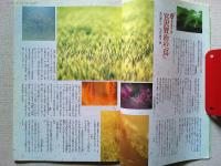 【雑誌】　　野鳥　1993年7月号　　特集　宮沢賢治と鳥
宮沢賢治作品における野鳥一覧表/杉浦嘉雄
『ヨダカの星』/菊田一朗