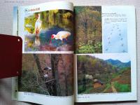 Birder　バードウォッチングマガジン　バーダー　2001年4月号
特集　トキのいた里