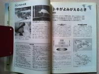 Birder　バードウォッチングマガジン　バーダー　2001年4月号
特集　トキのいた里