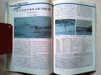 Birder　バードウォッチングマガジン　バーダー　2001年4月号
特集　トキのいた里
