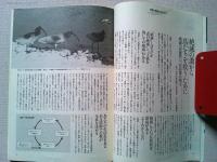 【雑誌】　　野鳥　1986年4月号　　特集　絶滅とはなにか