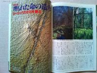 【雑誌】　　アニマ　1991年6月号　No.225　監修-今西錦司
　　特集　私の昆虫記