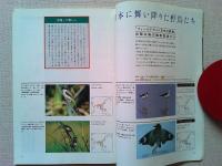 【雑誌】　　野鳥　1988年4月号　　特集　500号記念