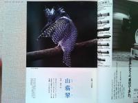 【雑誌】　　野鳥　1988年6月号　　特集　川の自然