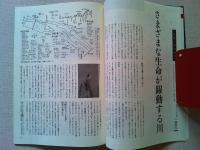 【雑誌】　　野鳥　1988年6月号　　特集　川の自然