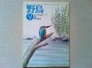 【雑誌】　　野鳥　1989年9月号　　特集　カワセミ