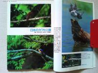 【雑誌】　　野鳥　1989年9月号　　特集　カワセミ