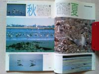 【雑誌】　　野鳥　1990年1月号　　特集　東京港野鳥公園
