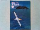 【雑誌】　　野鳥　1991年3月号　　特集　鳥の図鑑