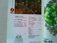 【雑誌】　　野鳥　1991年1月号　　特集　江戸の鳥