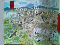 【雑誌】　　野鳥　1991年1月号　　特集　江戸の鳥