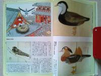 【雑誌】　　野鳥　1991年1月号　　特集　江戸の鳥