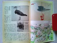 【雑誌】　　野鳥　1991年1月号　　特集　江戸の鳥
