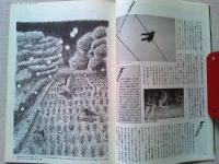 【雑誌】　　野鳥　1990年6月号　　特集　梅雨とバードウォッチング
