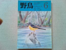 【雑誌】　　野鳥　1988年6月号　　特集　川の自然