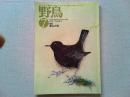 【雑誌】　　野鳥　1990年7月号　　特集　夏山と鳥