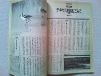 【雑誌】　　野鳥　1990年7月号　　特集　夏山と鳥
