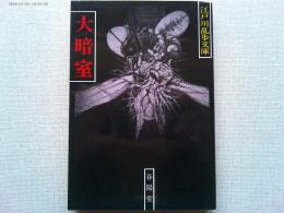 大暗室