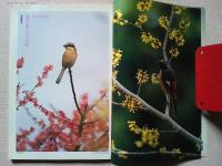 【雑誌】　　野鳥　1994年3月号　　特集　レンジャク類