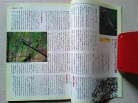 【雑誌】　　野鳥　1994年3月号　　特集　レンジャク類