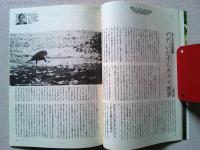 【雑誌】　　野鳥　1985年10月号　　特集　カラス　このいたずら者たち