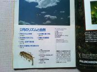 【雑誌】　　野鳥　1996年8月号　　特集　月のリズムと自然