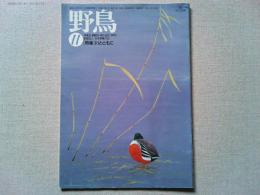 【雑誌】　　野鳥　1999年11月号　　特集　川とともに