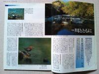 【雑誌】　　野鳥　1999年11月号　　特集　川とともに