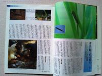 【雑誌】　　野鳥　1999年11月号　　特集　川とともに