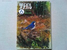 【雑誌】　　野鳥　1989年6月号　　特集　高原と野鳥
