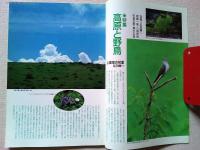 【雑誌】　　野鳥　1989年6月号　　特集　高原と野鳥
