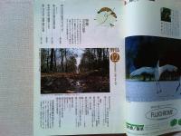 【雑誌】　　野鳥　1989年12月号　　特集　カモの行動学