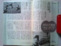 【雑誌】　　野鳥　1989年12月号　　特集　カモの行動学
