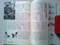 【雑誌】　　野鳥　1989年12月号　　特集　カモの行動学