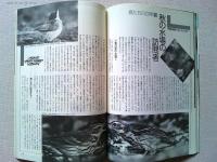 【雑誌】　　野鳥　1989年12月号　　特集　カモの行動学