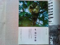 【雑誌】　　野鳥　1988年2月号　　特集　フクロウの仲間