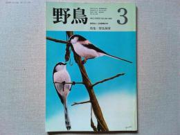【雑誌】　　野鳥　1988年3月号　　特集　野鳥飼育