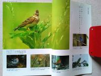 【雑誌】　　野鳥　1988年3月号　　特集　野鳥飼育