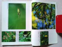 【雑誌】　　野鳥　1988年5月号　　特集　バードウォッチング