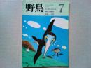 【雑誌】　　野鳥　1988年7月号　　特集　小笠原